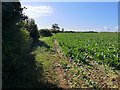 Footpath to Grange Farm