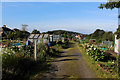 Revidge Allotments