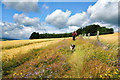 Towards Hilltop Plantation on Offa