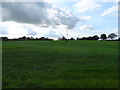 SJ7431 : Grassland near Lipley Heath Farm by JThomas