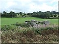 SH8830 : Pile of rocks in a field near Tyddyn Goronwy by Christine Johnstone