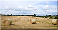 NZ3322 : Field with straw by Trevor Littlewood