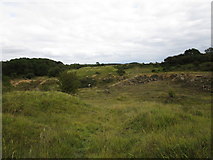 SK9614 : Disused limestone quarry near Clipsham by Jonathan Thacker