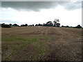 Stubble field, Walton