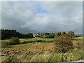 Wetland on the north side of Newry Road used for landfill