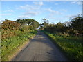SK7495 : Cornley Road in evening sunlight by Marathon