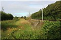 Field and railway by Lower Road