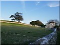 Evening at Birling Farm