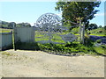 Beautiful gate at Newport Gate