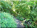 Footpath to Nevern Castle