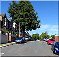 ST1067 : Dominant tree, Romilly Road, Barry by Jaggery