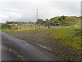 Whin covered quarry waste on the East side of Alley Road