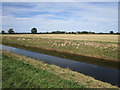 Howbridge Drain and stubble field