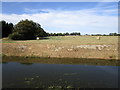 Howbridge Drain and stubble field