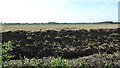 Drained farmland, west of Oakhill nature reserve