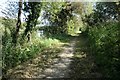 Path along the west side of Oakhill Pond