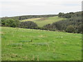 View north-east from Newbigging roadend near Oxnam