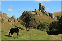 SY9582 : Corfe Castle by Oast House Archive