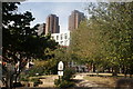 View of towerblocks on Sandell Street from the Waterloo Millennium Green #2