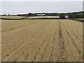 View from Skaithmuir stubble field in the Scottish Borders