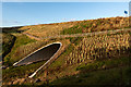 Tunnel under the A90 for Limpet Burn