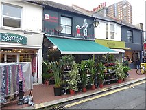 TQ3104 : Gunn's florist shop on Sydney Street by Oliver Dixon