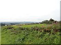 NZ2250 : View from Beechgrove Lane by Robert Graham