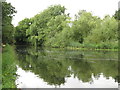 The Grand Union Canal near South Harefield (5)