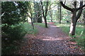 Footpath to the Rookery