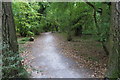 Path through Castle Close