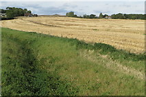 SP9960 : Ditch and farmland near The Driftway by Philip Jeffrey