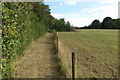 Footpath towards the Fordham Arms