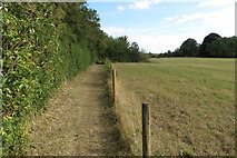TL0059 : Footpath towards the Fordham Arms by Philip Jeffrey