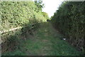 Bridleway towards Temple Wood