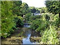 SK5453 : Newstead Abbey Gardens – Japanese Garden by Alan Murray-Rust