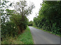 Buckland Road towards Charney Bassett