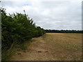 SU3694 : Field beside woodland, Charney Bassett by JThomas