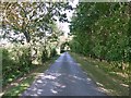 Bridleway and farm access road at Lodge Plantation