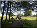 Runners on Graves parkrun