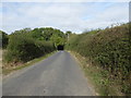 Fisher Street Road, Badlesmere.