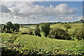 Magheralough Townland