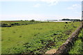 Mixed farming at Mains of Usan