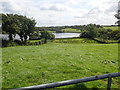 Pasture land on the North side of Drumboy Road