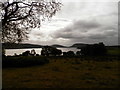 Rough grazing at Loch Duntelchaig