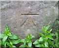 Ordnance Survey Cut Mark