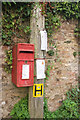 Postbox, Dittisham