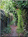 The South Bucks Way south of Savay Lane