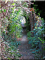 The South Bucks Way north of Denham station