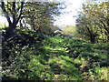 Llwybr ceffyl i Wern Ddu / Bridleway to Wern Ddu