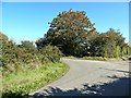 Bend in the road near Compton Scorpion farm